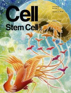 Cell Stem Cell Jan 4, 2018